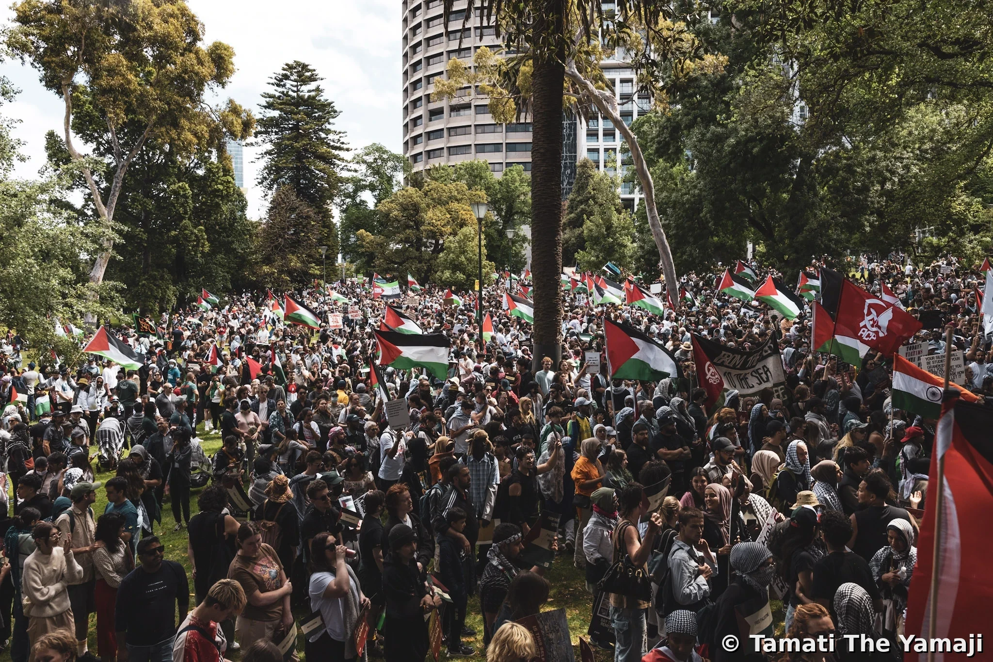 Ceasefire Protests Week 5 - Naarm - Image 10