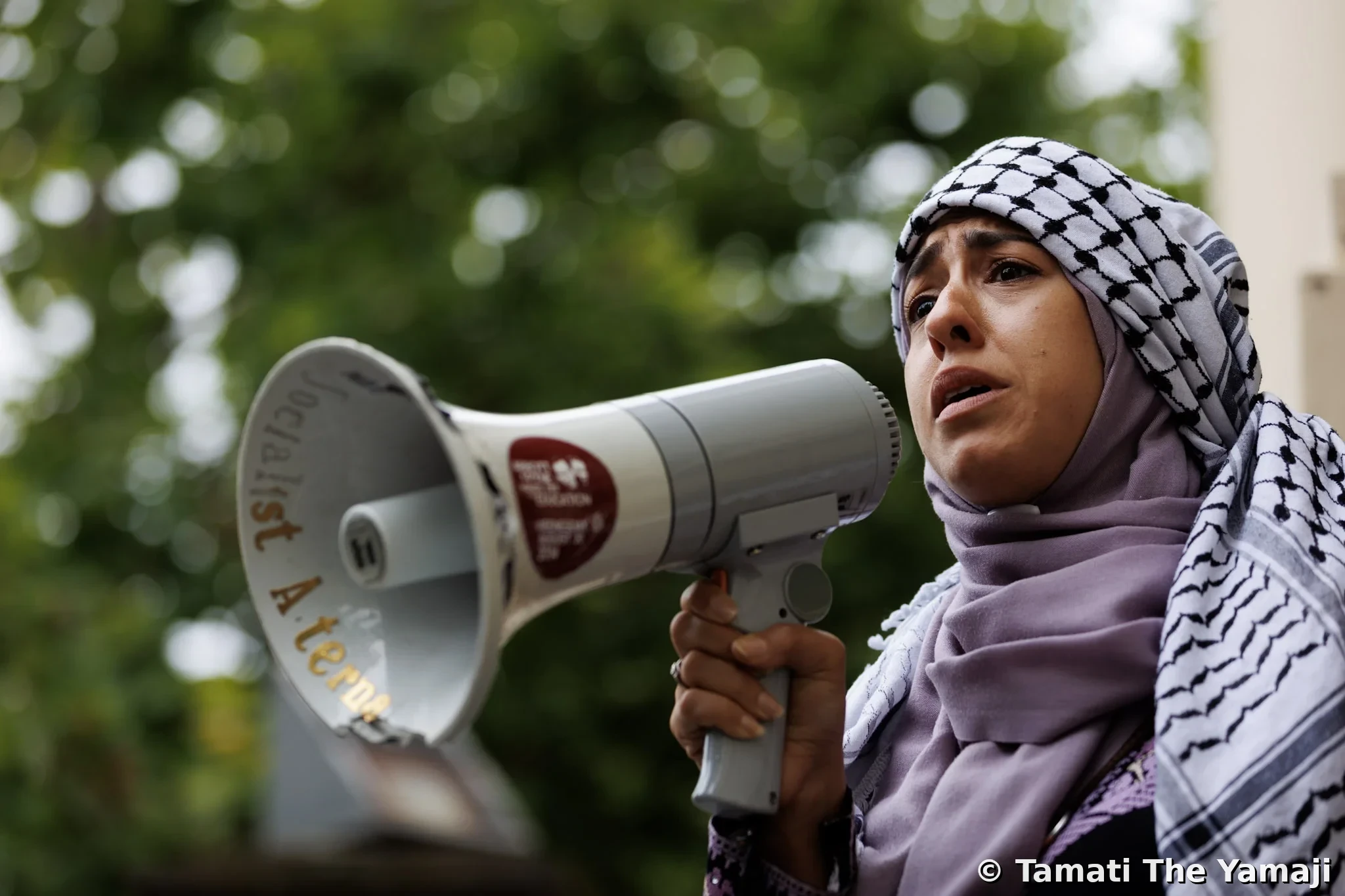 Palestine Solidarity Rally, Naarm - Image 2
