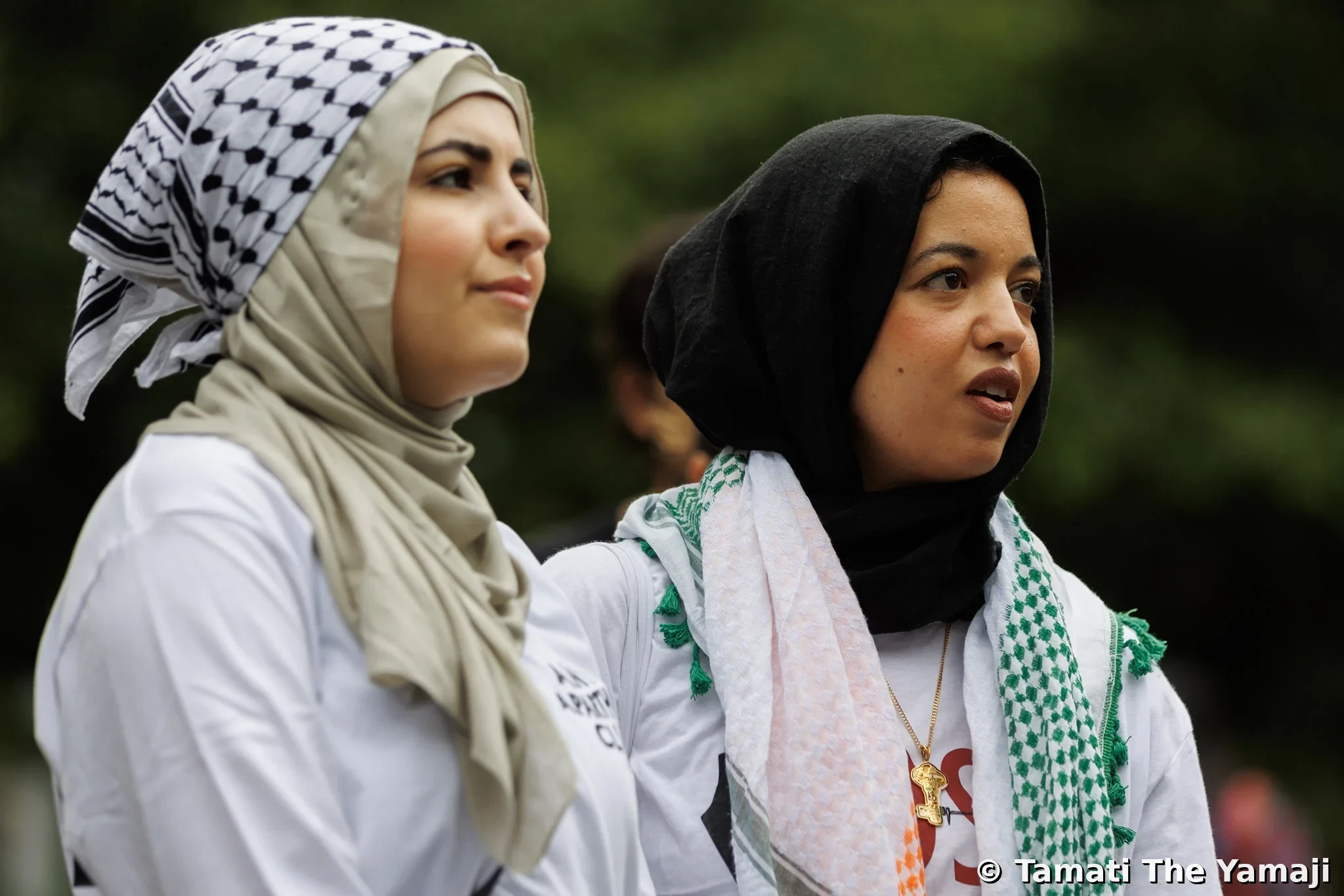Palestine Solidarity Rally, Naarm - Image 7