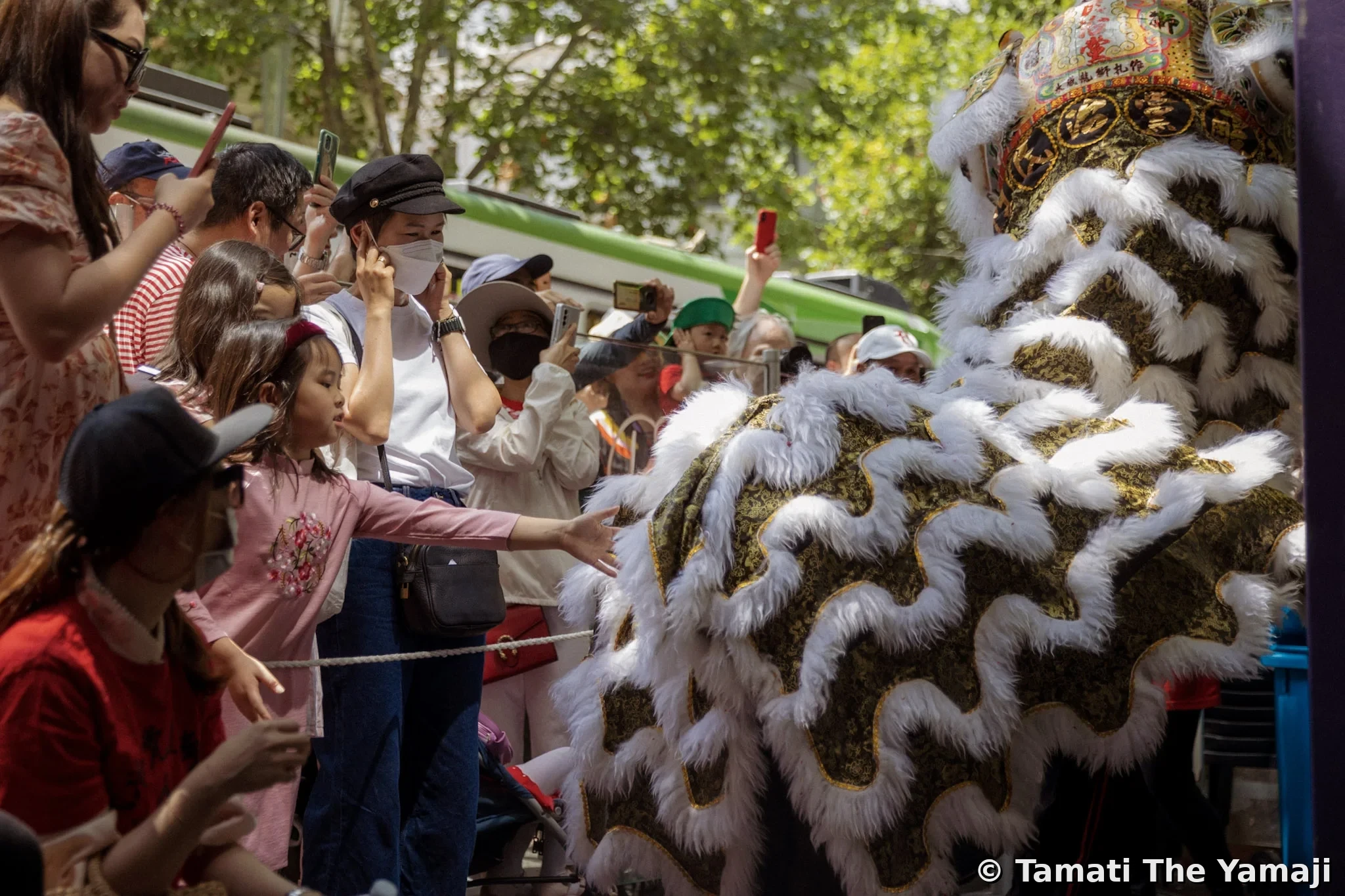 Chinese New Year, Chinatown Naarm - Image 5