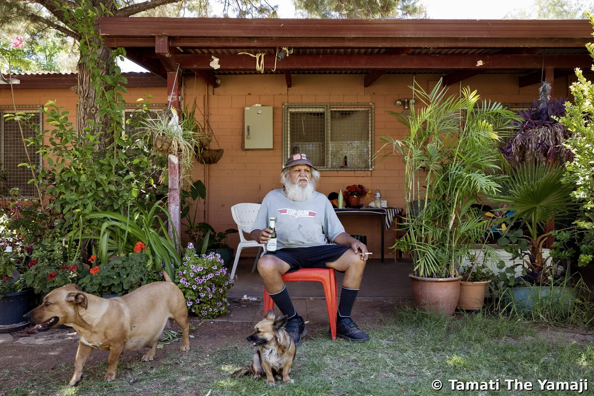 Washington Post - Voice Referendum - Image 2