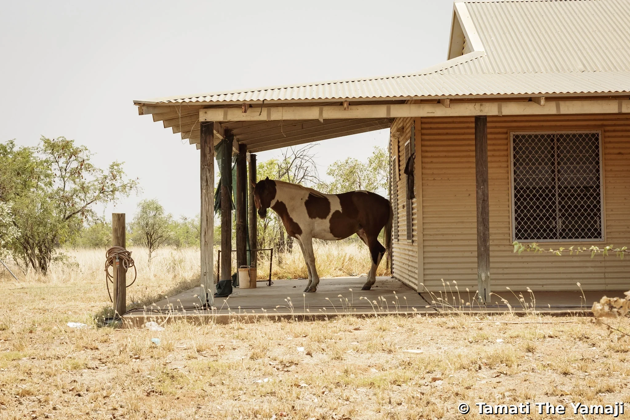 New York Times - October 2023 - Image 10
