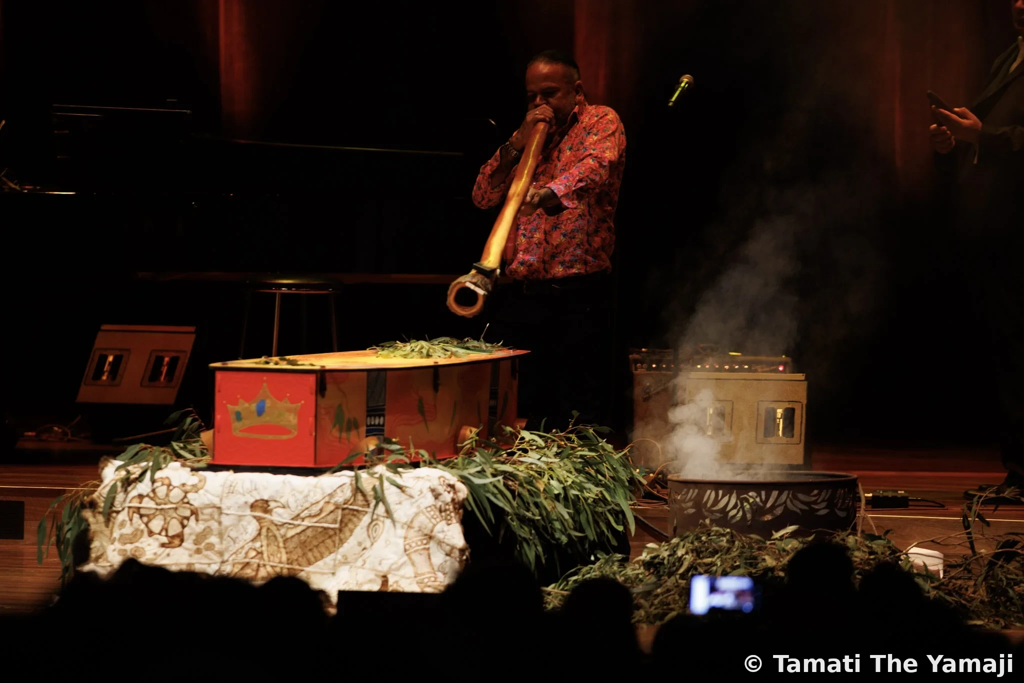 NIT - Bunjil, Creator Spirit of Kulin - Image 4