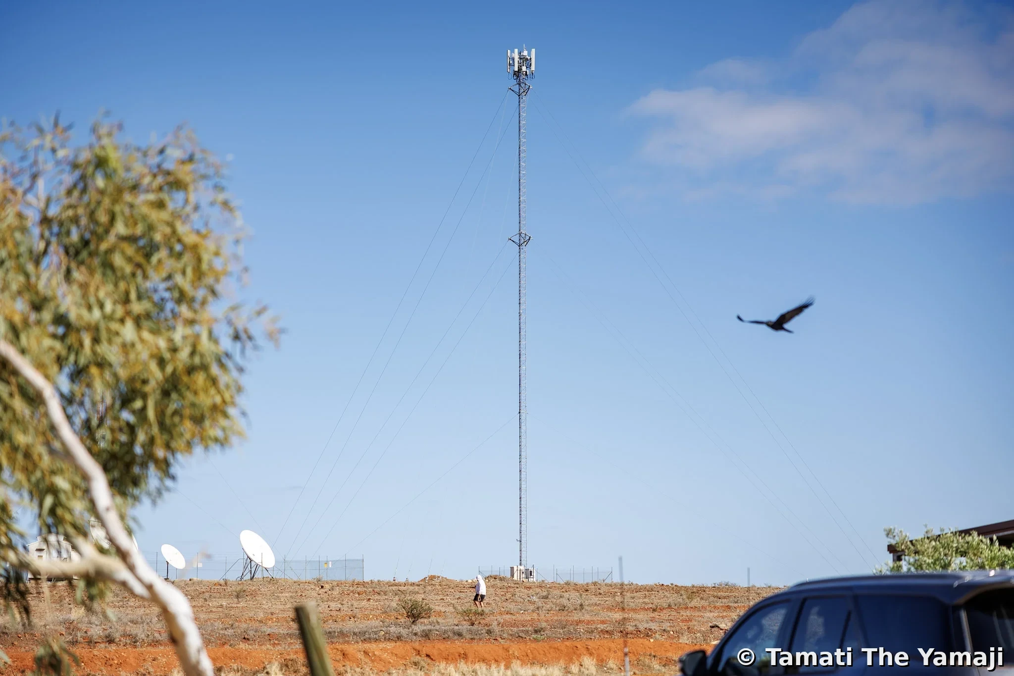Getty Images - Yalgoo Referendum - Image 5