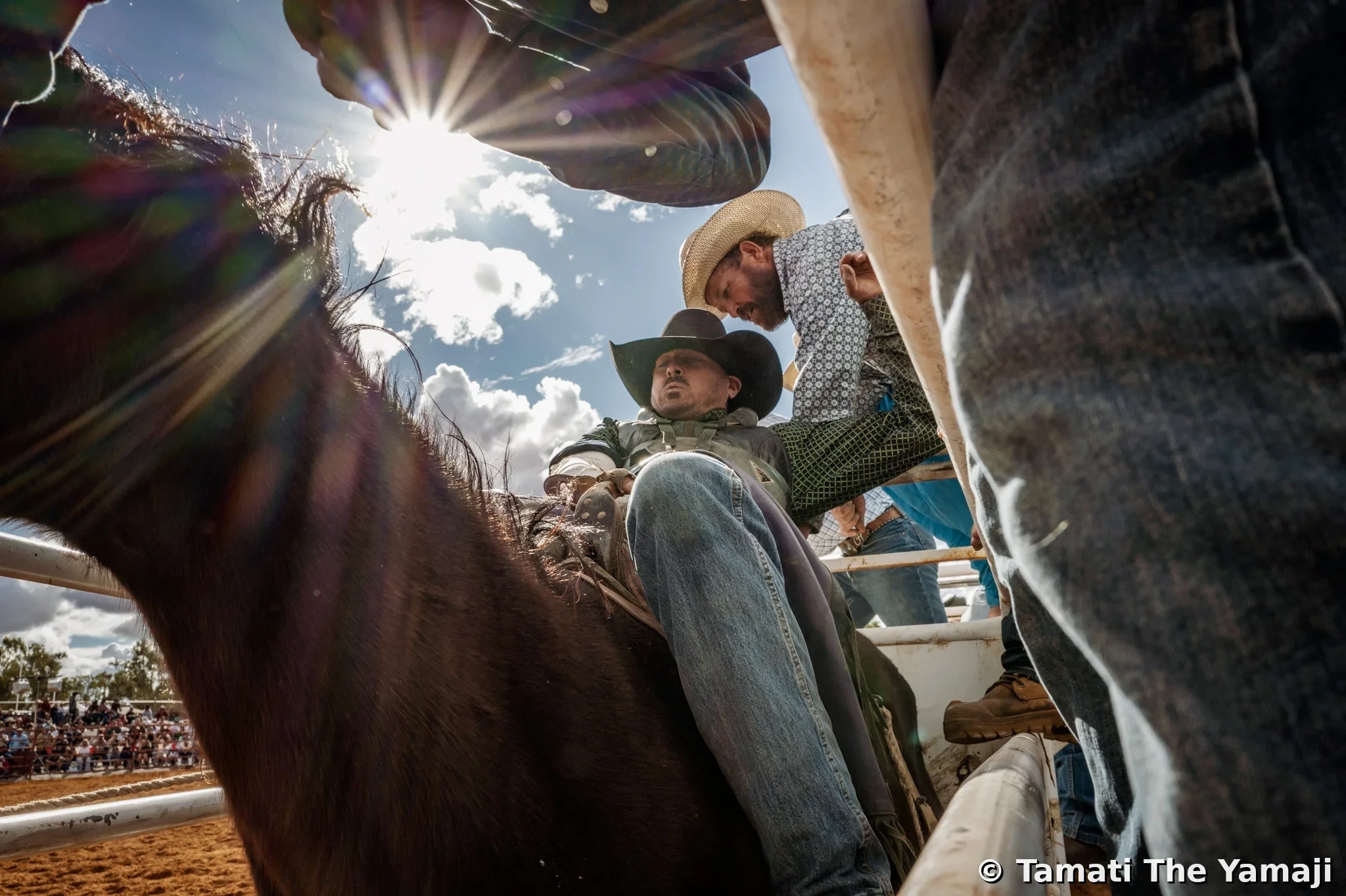 Mullewa Muster — Part 2 - Image 1