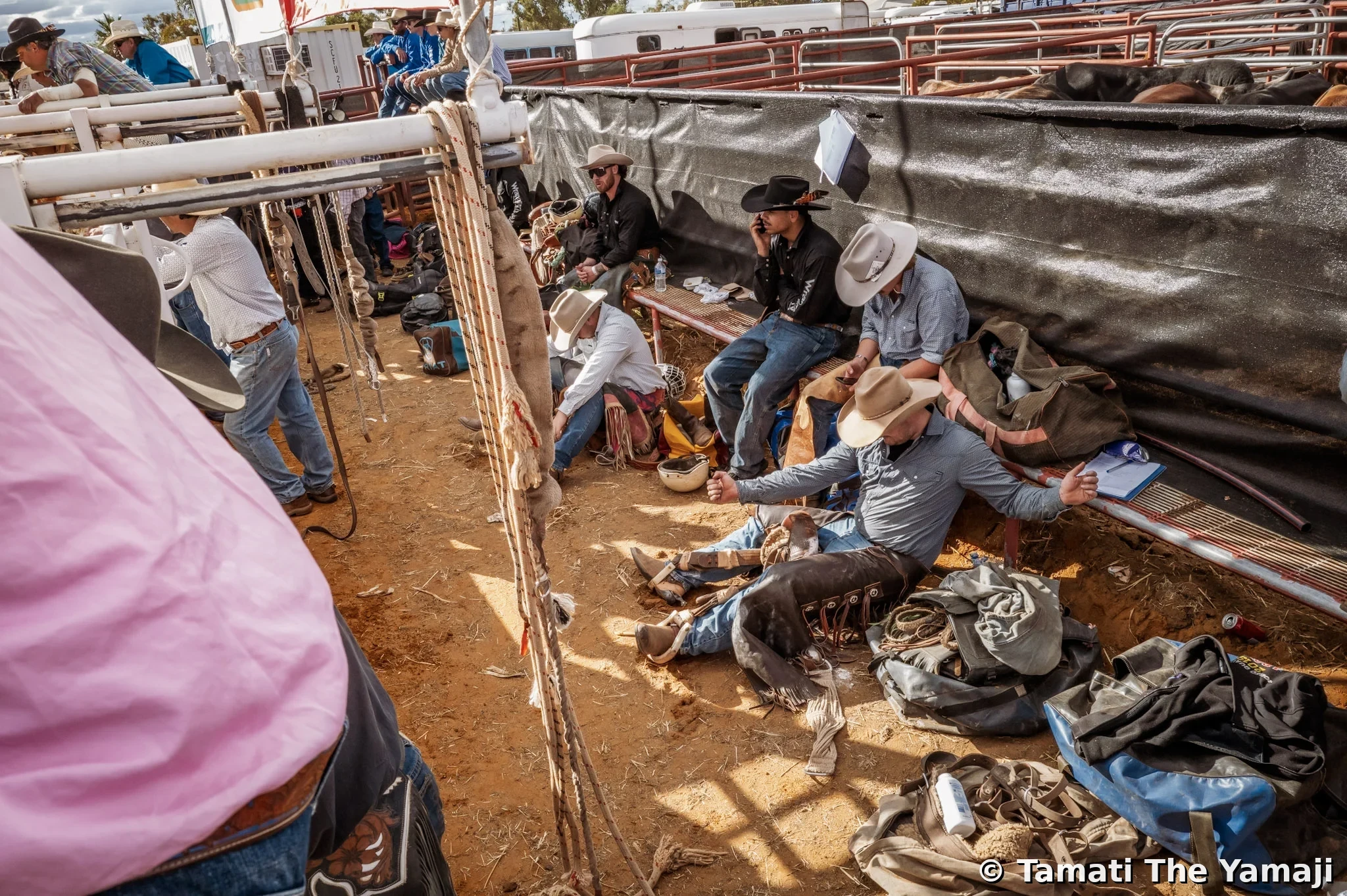 Mullewa Muster — Part 2 - Image 3