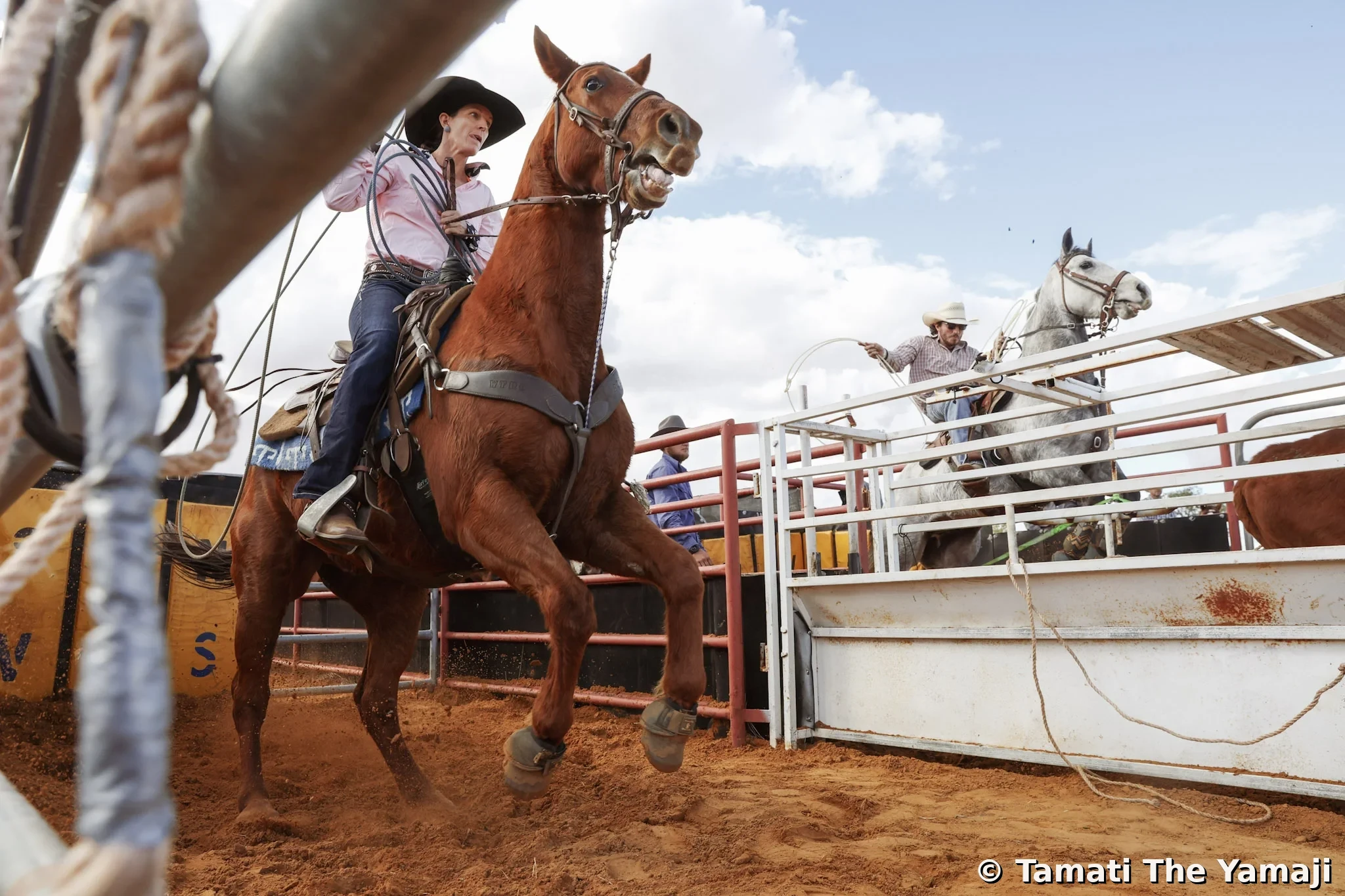 Mullewa Muster — Part 2 - Image 5