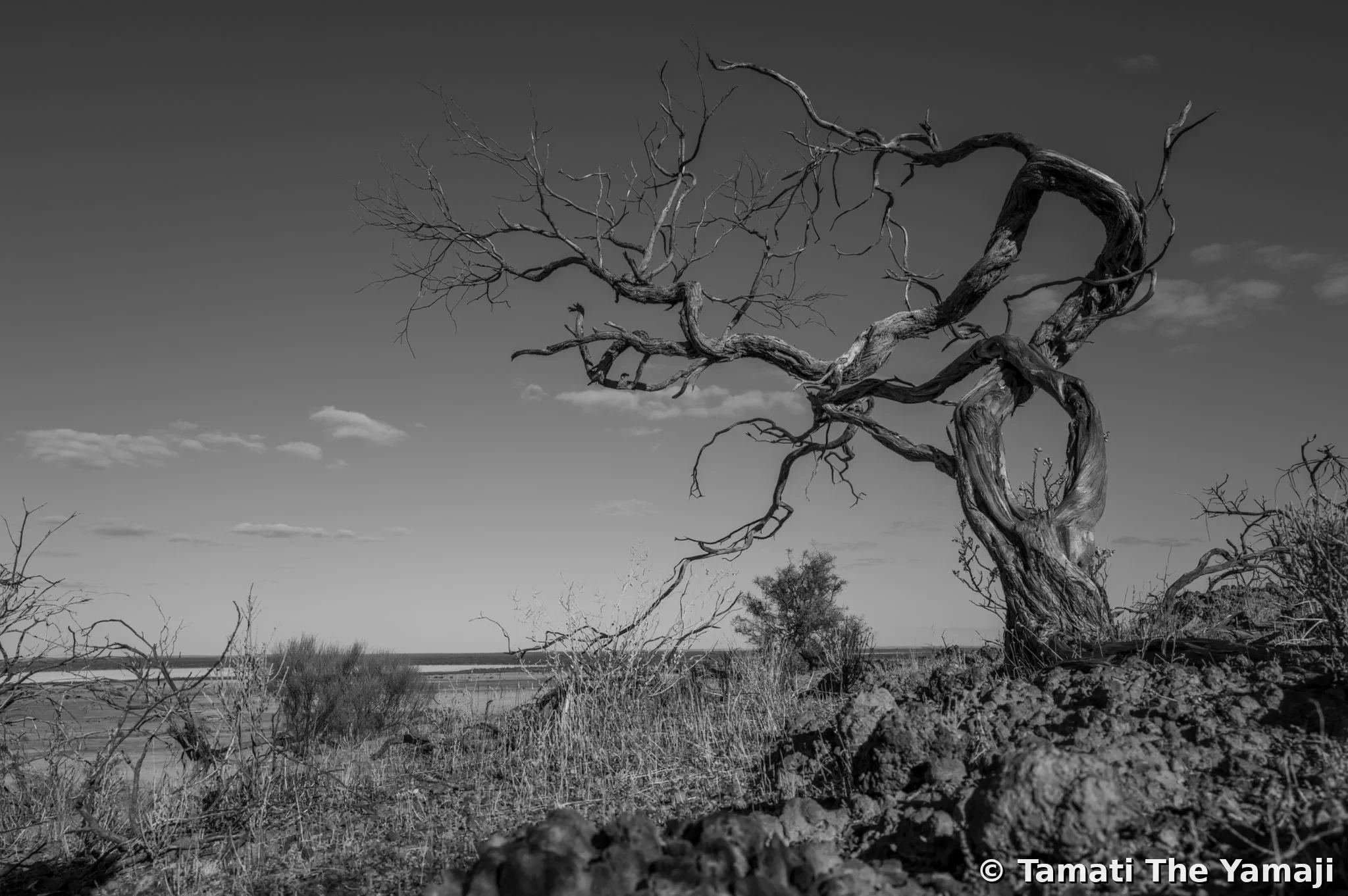 The Killing Codes - Image 4