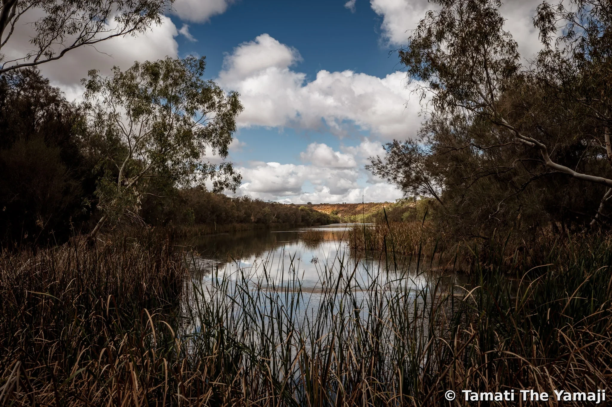 The Killing Codes - Image 10