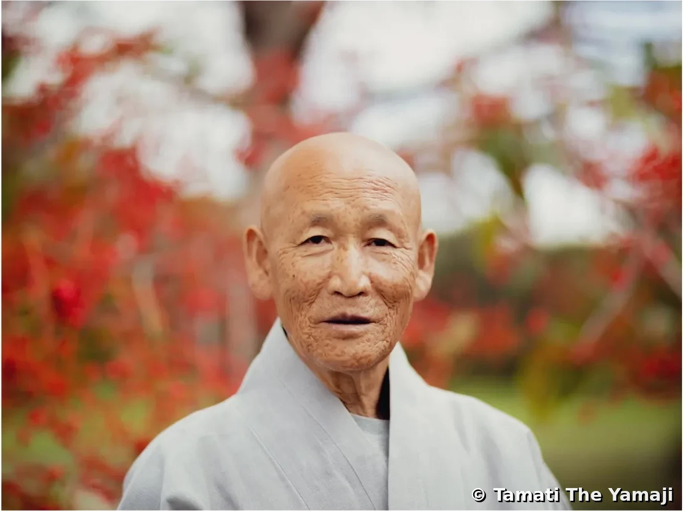 Korean Monk Portraits, Warrane - Image 2