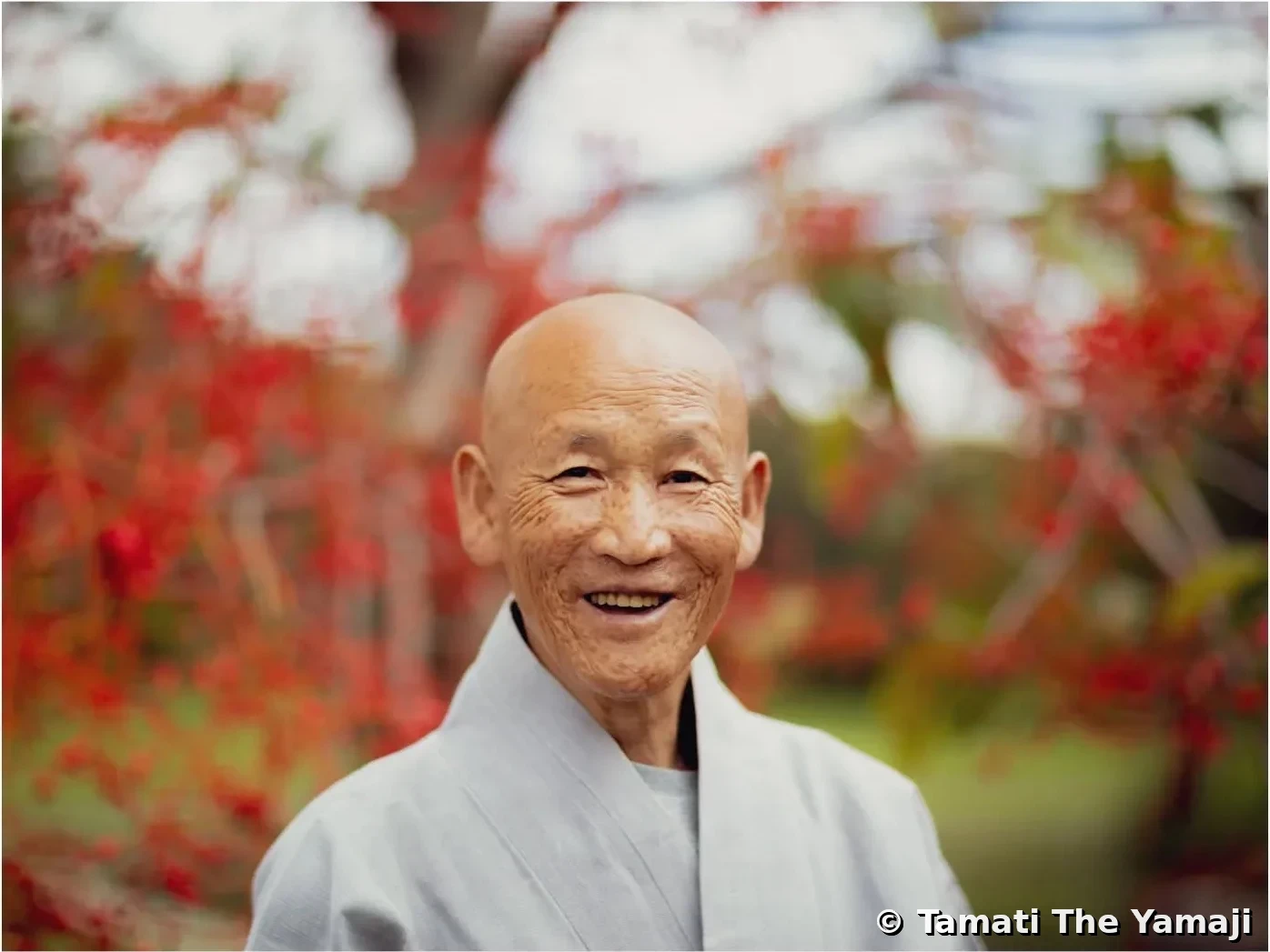 Korean Monk Portraits, Warrane - Image 3