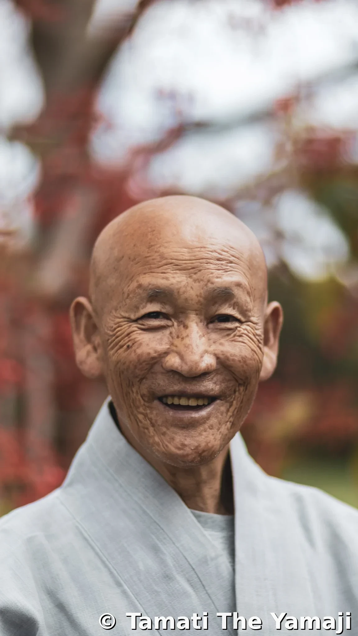 Urban Buddhist Monk - Image 1