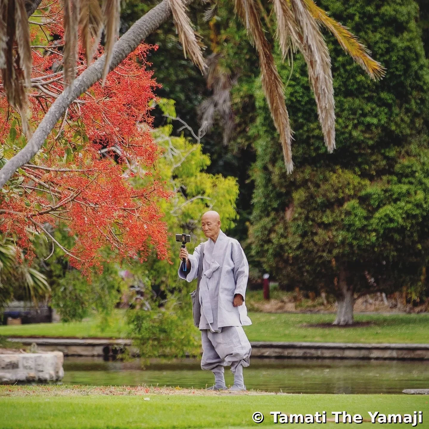 Urban Buddhist Monk - Image 3