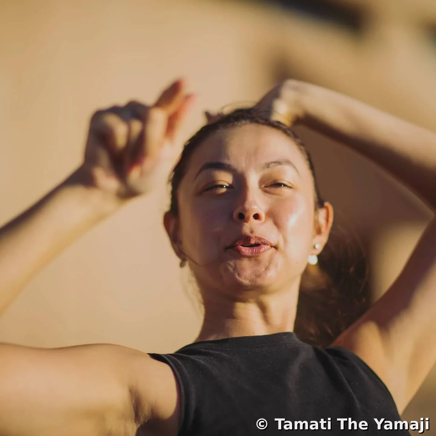 Harbour Gaze at Warrang - Image 2