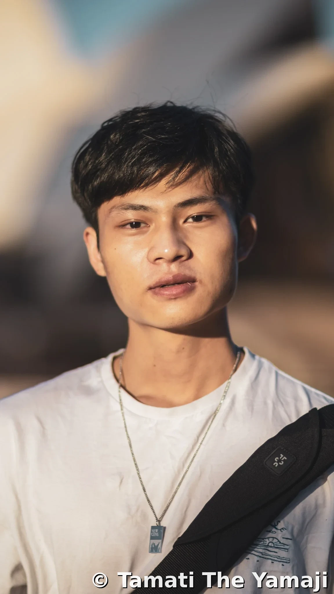 Shy No More at Warrane - Image 1