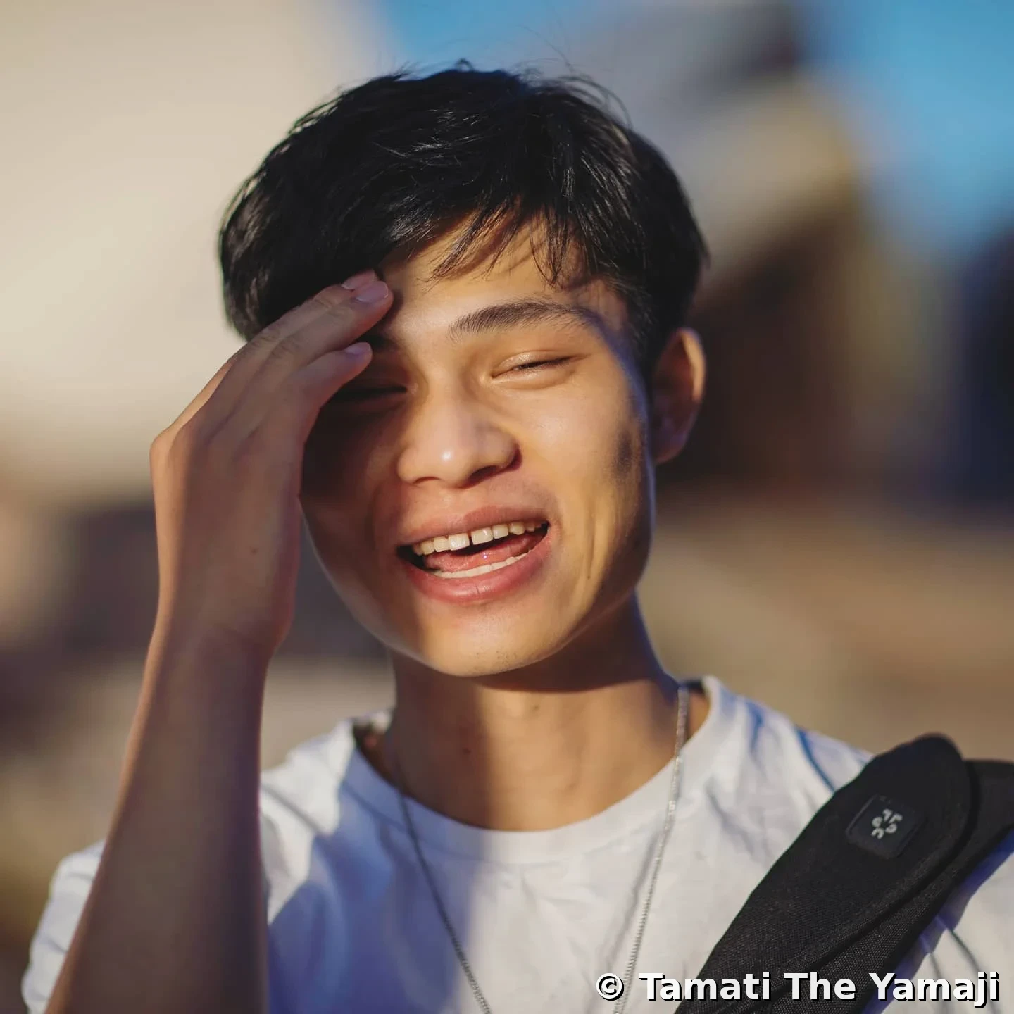 Shy No More at Warrane - Image 2