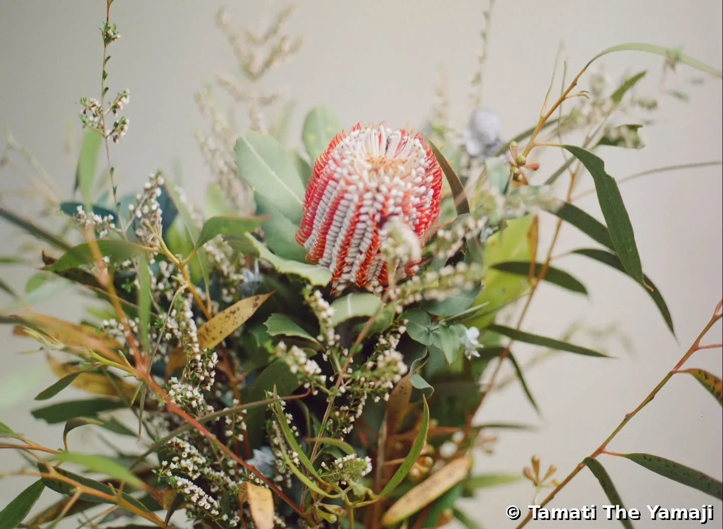 Film Portraits at Gulkula - GARMA 2023 - Image 9