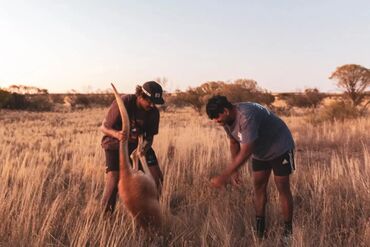 Hunting on Yamaji Barna