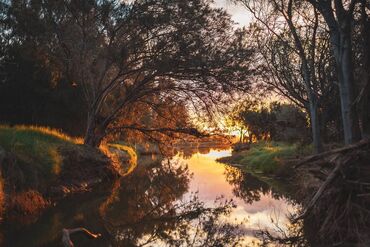 Singular. Alone. Itself — Massacre Site