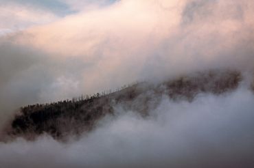 Birrarung Valley Drive