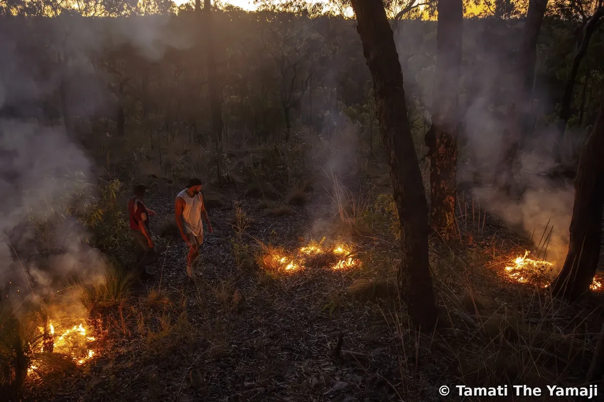 Traditional Burning on Kuku Yalanji Bubu