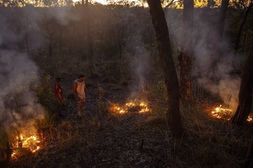Traditional Burning on Kuku Yalanji Bubu
