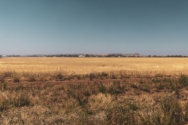 Washington Post - March 2025